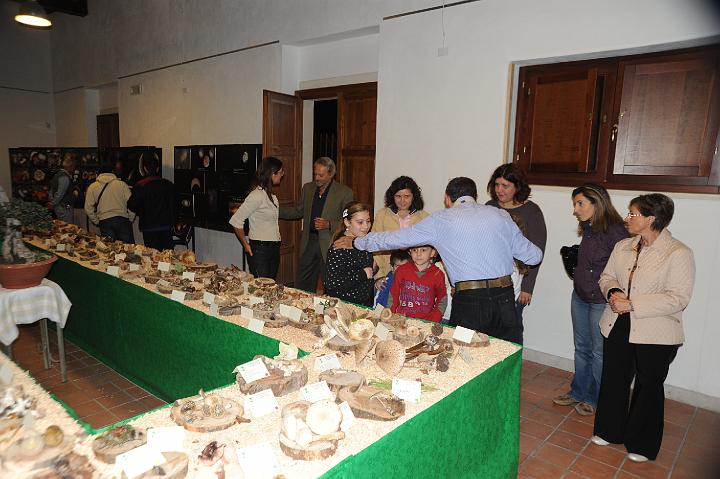 2Mostra Micologica Avola 13.11.2010 (122).JPG